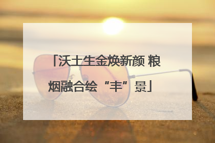 沃土生金焕新颜 粮烟融合绘“丰”景